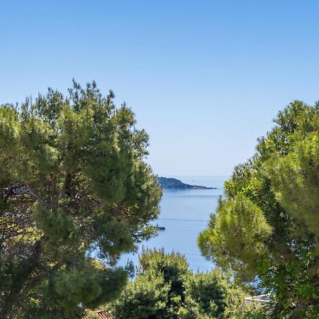 Anmarie With Free Parking Διαμέρισμα Ντουμπρόβνικ Εξωτερικό φωτογραφία